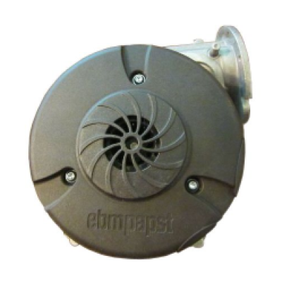 Weil-McLain® 640-000-081