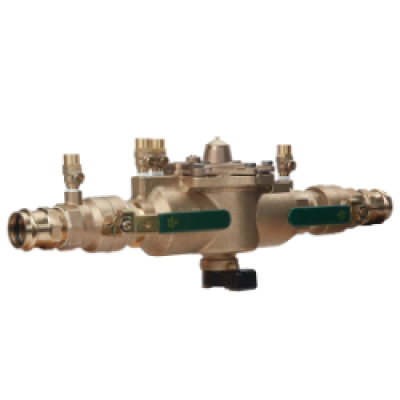 WATTS&reg; LF009M2-QT-FS