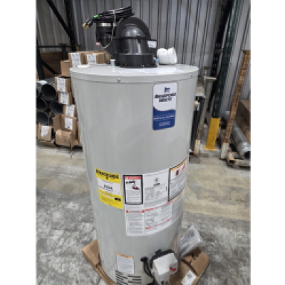 Bradford White&reg; RG250T6X