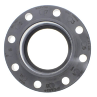 CPVC Sch 80 Flanges