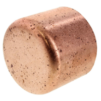 Cleaned & Bagged Copper Caps