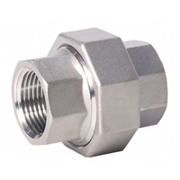 304 Stainless Steel Unions