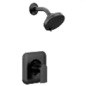 Moen® T2472EPBL