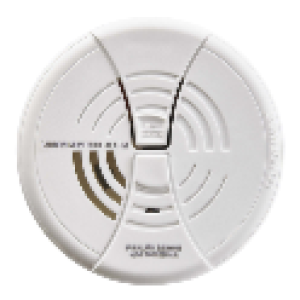 Honeywell CO250B