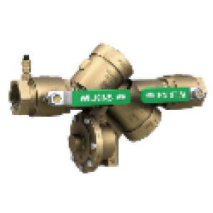 Zurn&reg; 2-975XL2