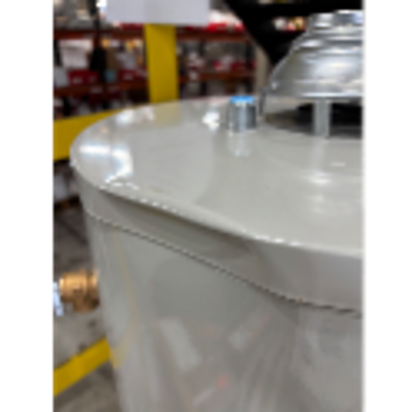 Bradford White&reg; RG240T6N