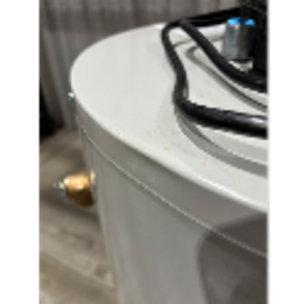 Bradford White&reg; RG1PV40S6N