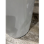 Bradford White&reg; RG1PV40S6N