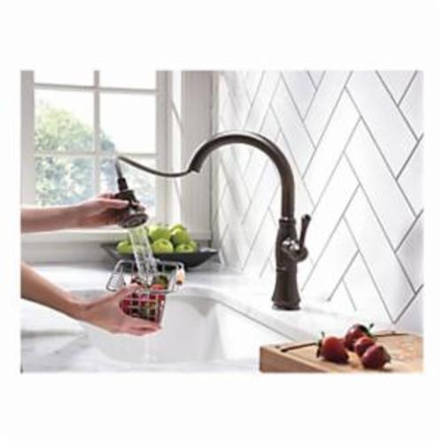 Delta® 9197-RB-DST