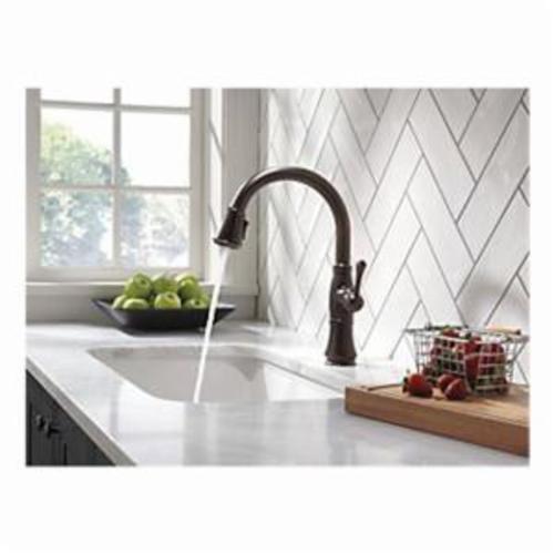 Delta® 9197-RB-DST