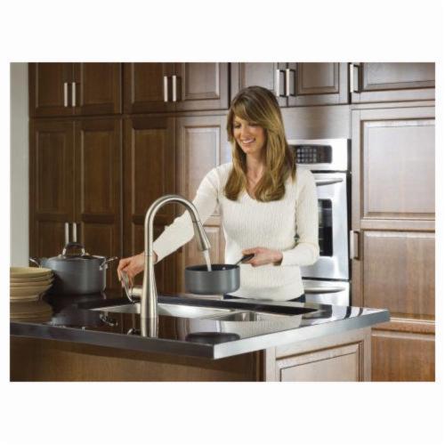 Moen&reg; 7594 Arbor&reg; Kitchen Faucet