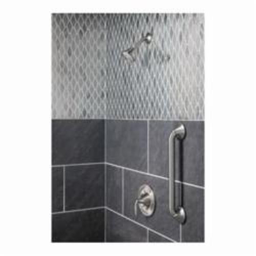 Moen® YB2818BN