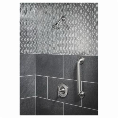 Moen® YB2818BN