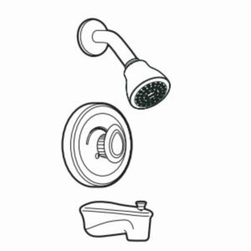 Moen® T172