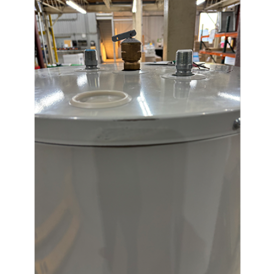 Bradford White&reg; RE250T6-1NLZZ