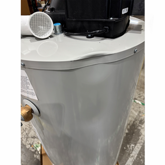 Bradford White&reg; RG1PV50S6N
